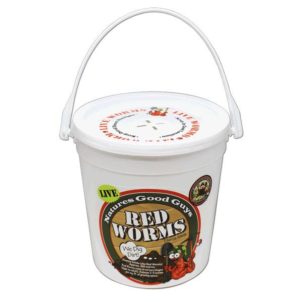 Natures Good Guys - Red Worms - "Red Wigglers"