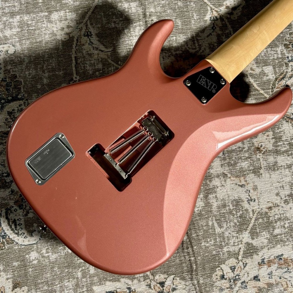 EDWARDS E-SNAPPER-7 Fuji Electric Gutiar [AUTH]