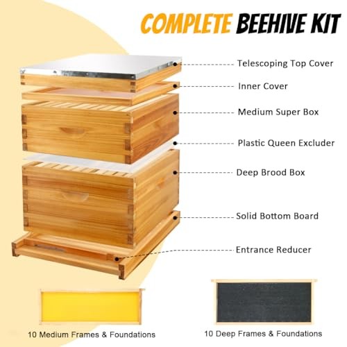 10-Frame Beehives Starter Kit – Complete Langstroth Hive with 1 Deep 2 Layers