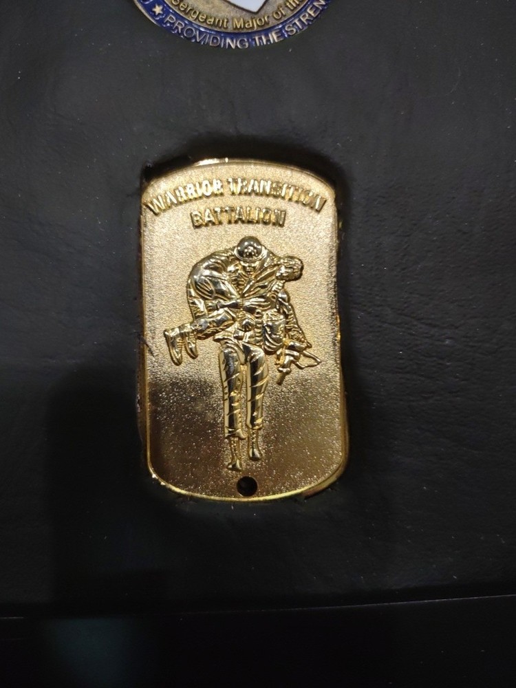 ARMY MEDAL WALL DISPLAY Real