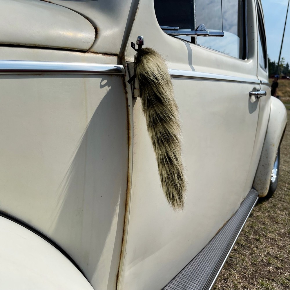 Raccoon Tail