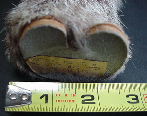 Rabbit Fur Cat Vintage
