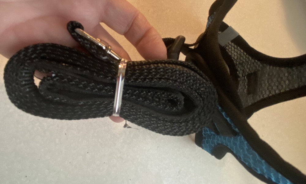 Mesh Blue/Blk Medium Harness And Black Nylon Leash