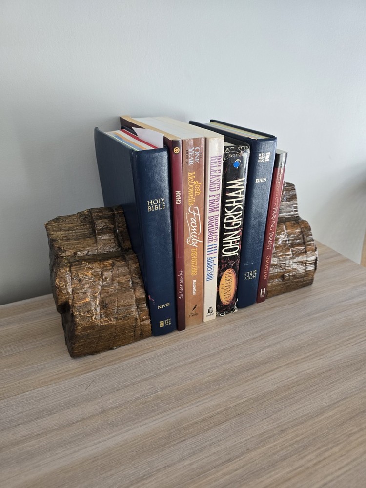 Petrified Wood Book Ends Glossed- 13 LB
