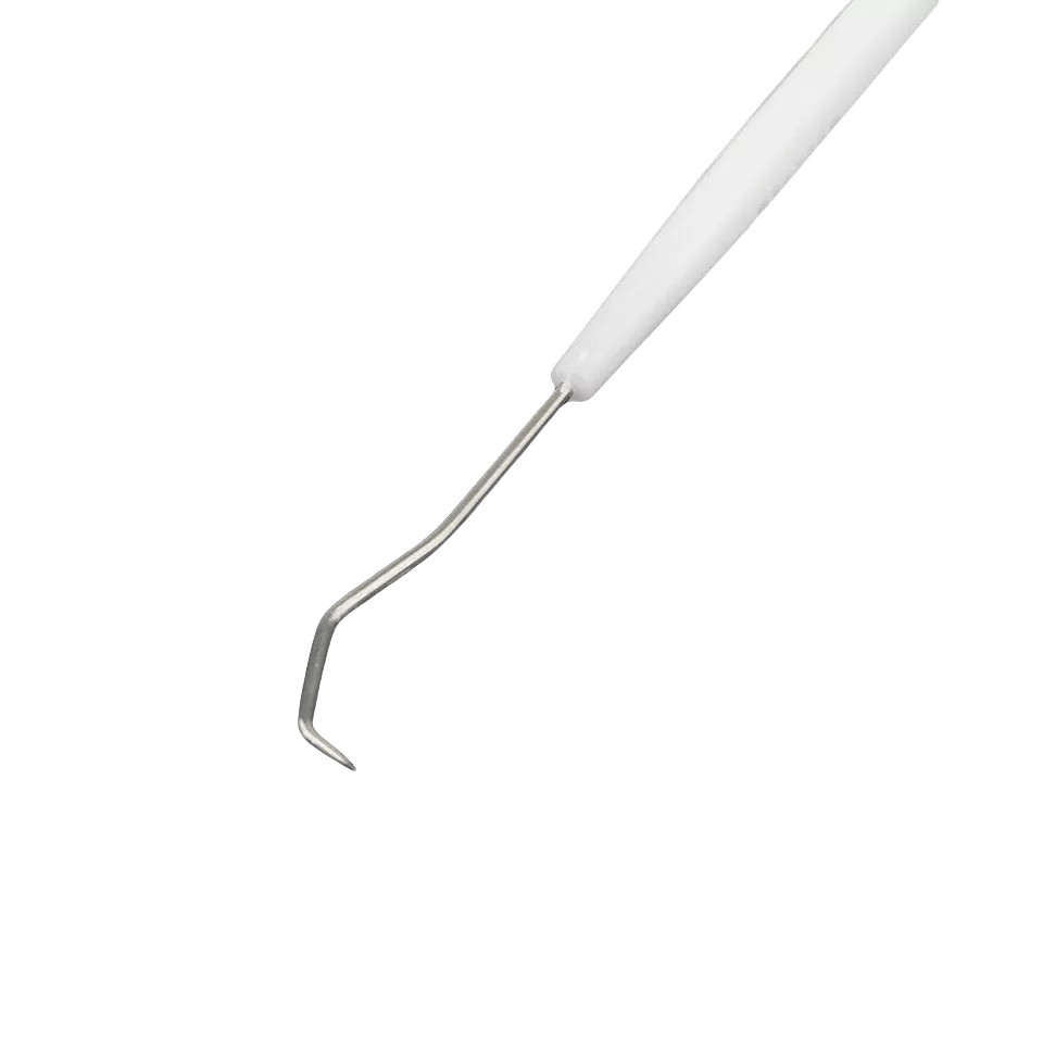 10 Pcs Dental Teeth Explorer Double End Instrument Probe Hook Basic Instruments