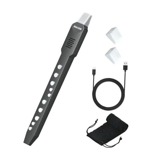Digital Wind Instrument, DC02 Pro Electronic Wind Instrument Set with Black