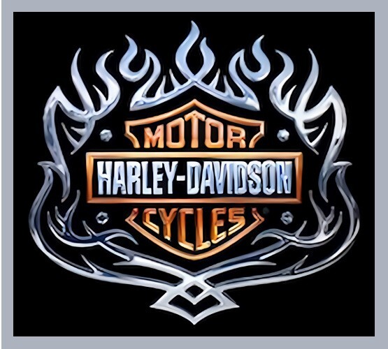 HD2 MotorCycles Chrome Flames Car Refrigerator Fridge MAGNET