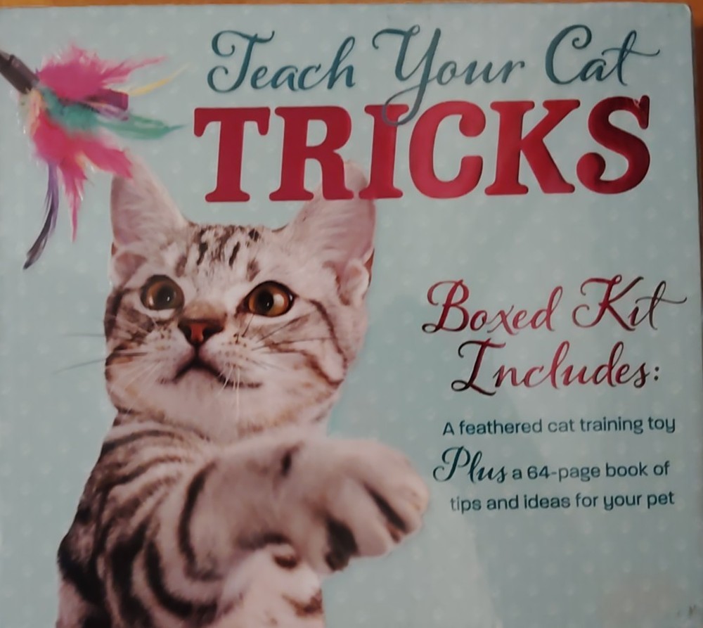 Teach Your Cat Tricks Learn 12 Training Tricks!  Step By Step Guidance, Ez Steps
