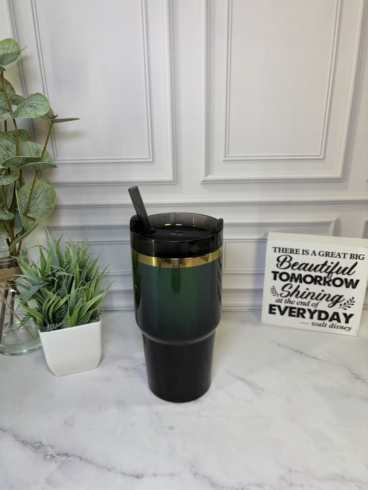 Stanley x Wicked Elphaba 20oz 2024 Edition EUC
