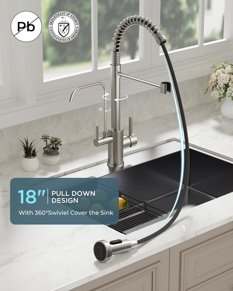 Brushed Nickel Kitchen Faucet with Water Filter