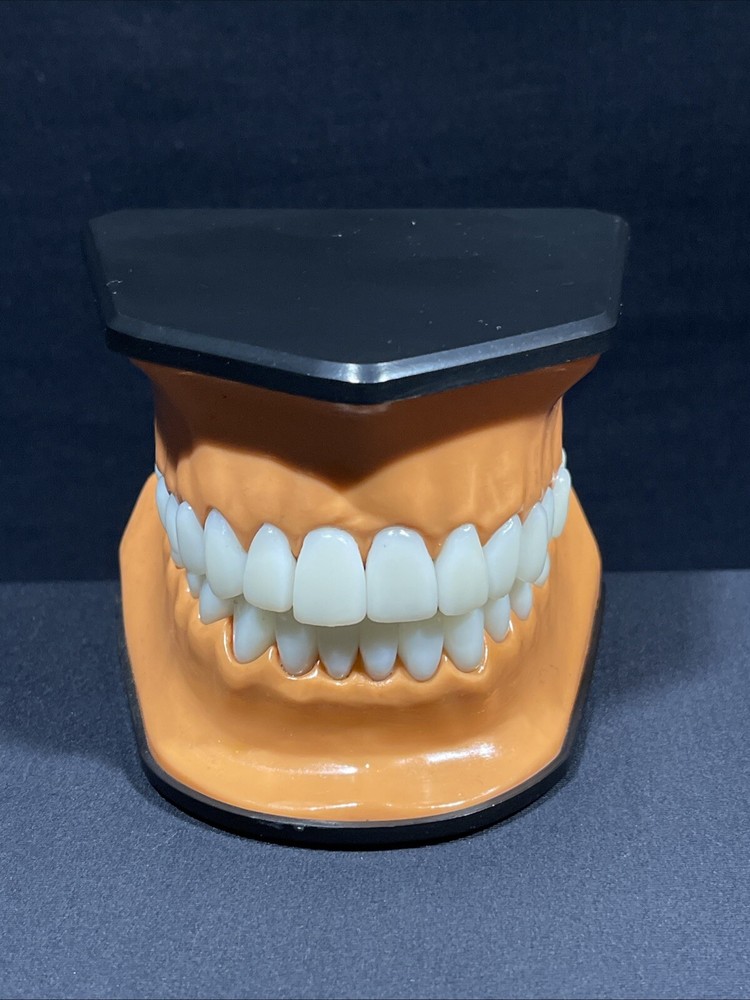 Columbia Dental Form Teeth Dentistry