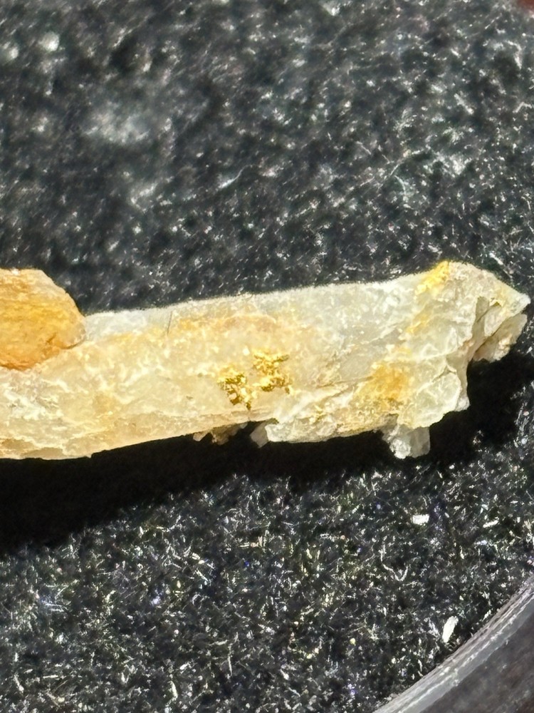 Nice Gold On Quartz Specimen .4 Grams
