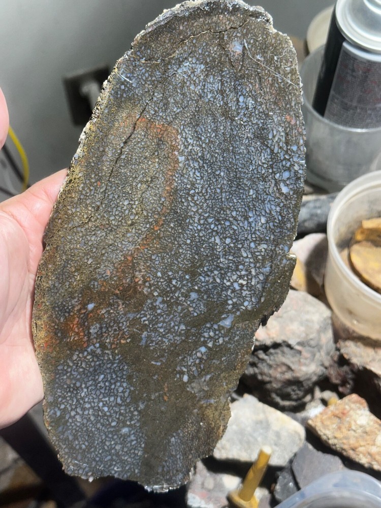 Dinosaur bone rough **hxtled large slab.