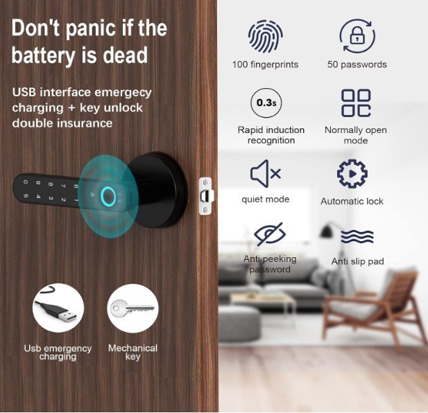 OFFTV Fingerprint Door Lock, Smart Door Handle, Biometric with Passcode, Black