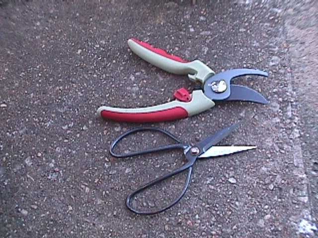 Flower Pruning Scissors Shears Clipper Snips