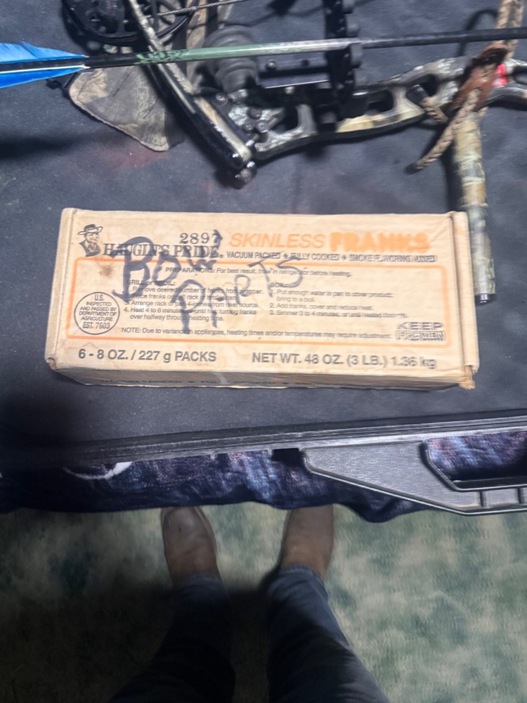 compound bows for hunting