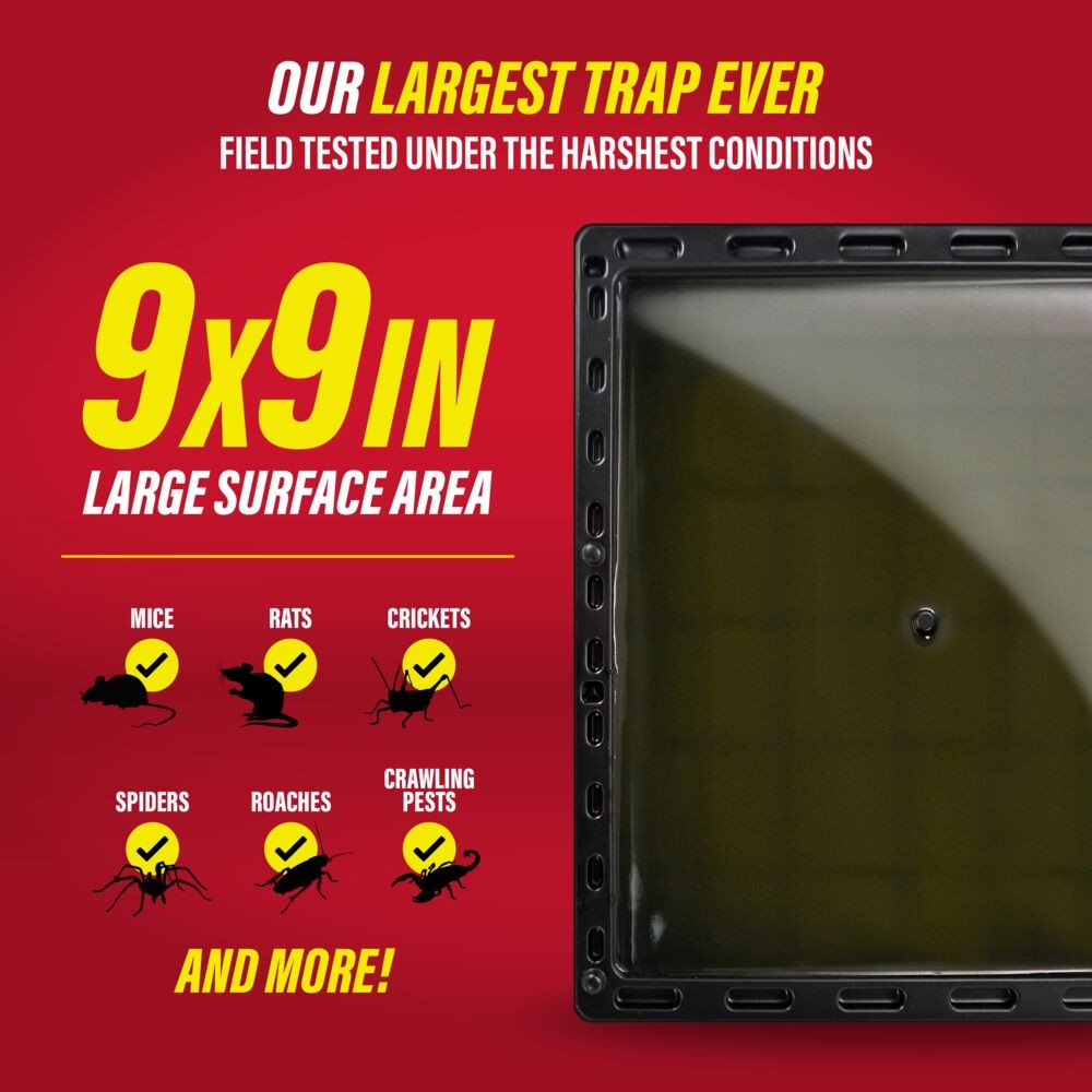 Catchmaster Jumbo Rat & Mouse Glue Traps