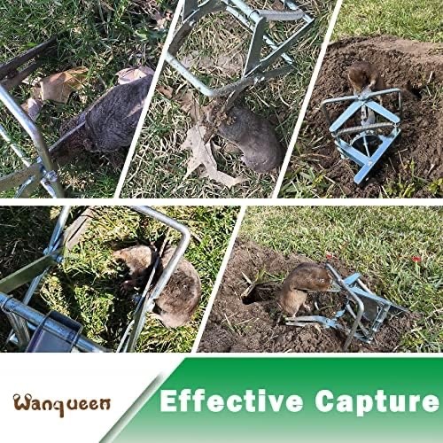 Wanqueen scissor-jawed mole trap and eliminator