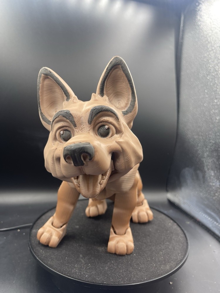 Jerry, the German Shepherd!