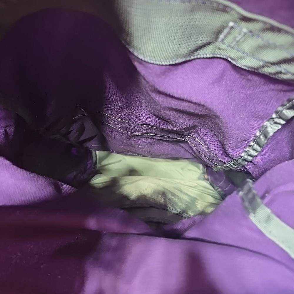 Backpack by Evolved Motion Purple Bag