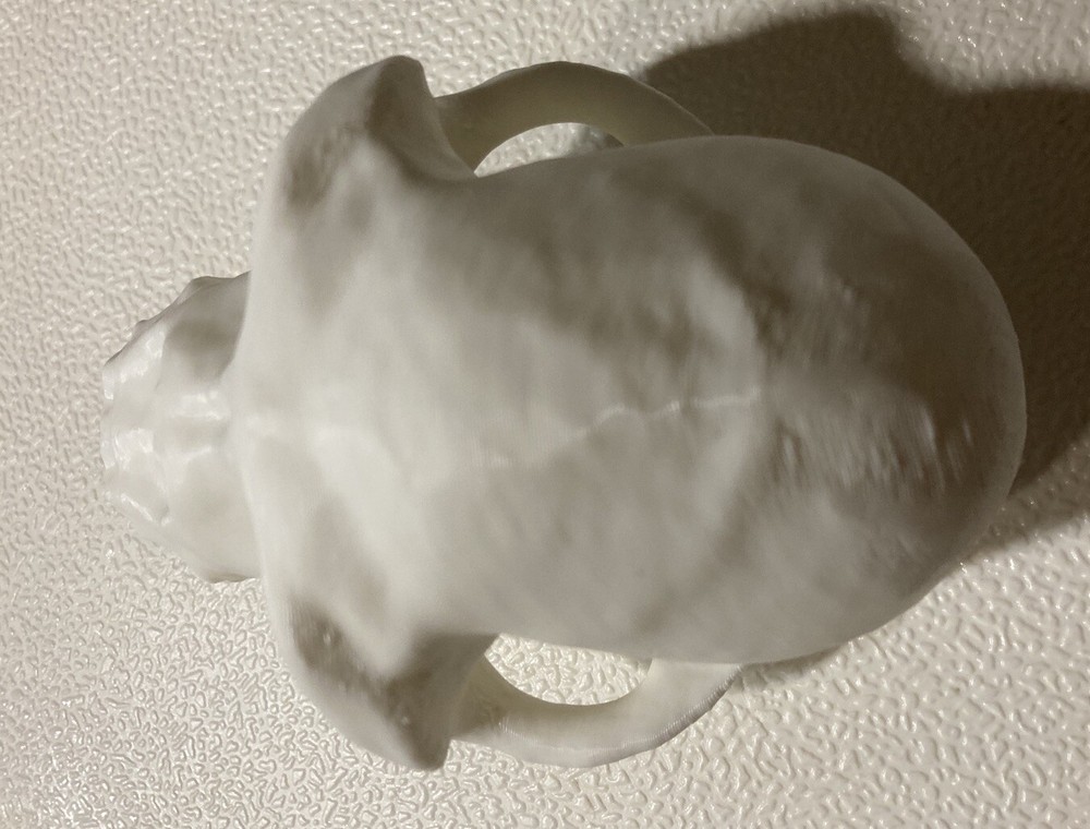 Chimpanzee Skull Replica Uppet 3D Printed