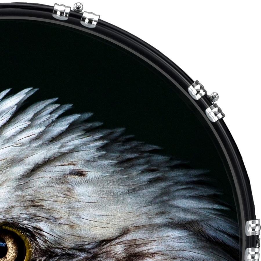 Custom 22" Kick Bass Drum Head Graphical Image Front Bald Eagle 1