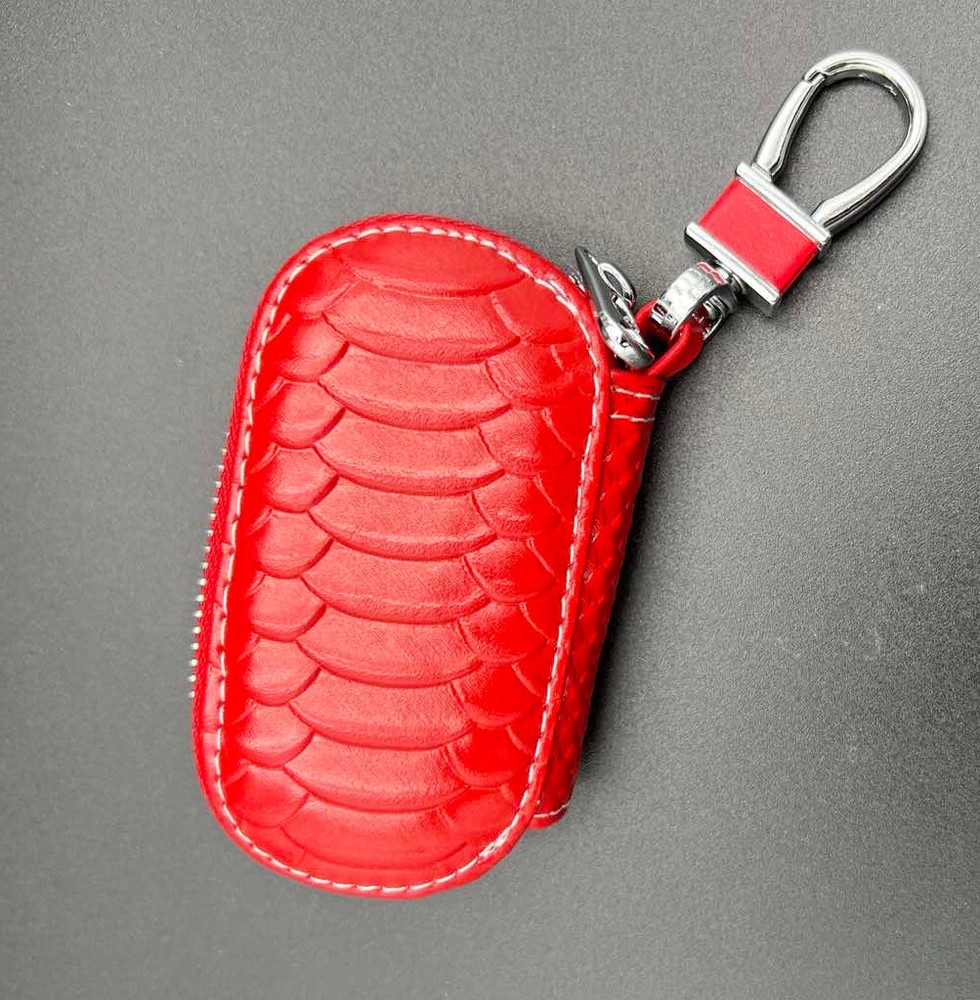Key Chain Case for Ford