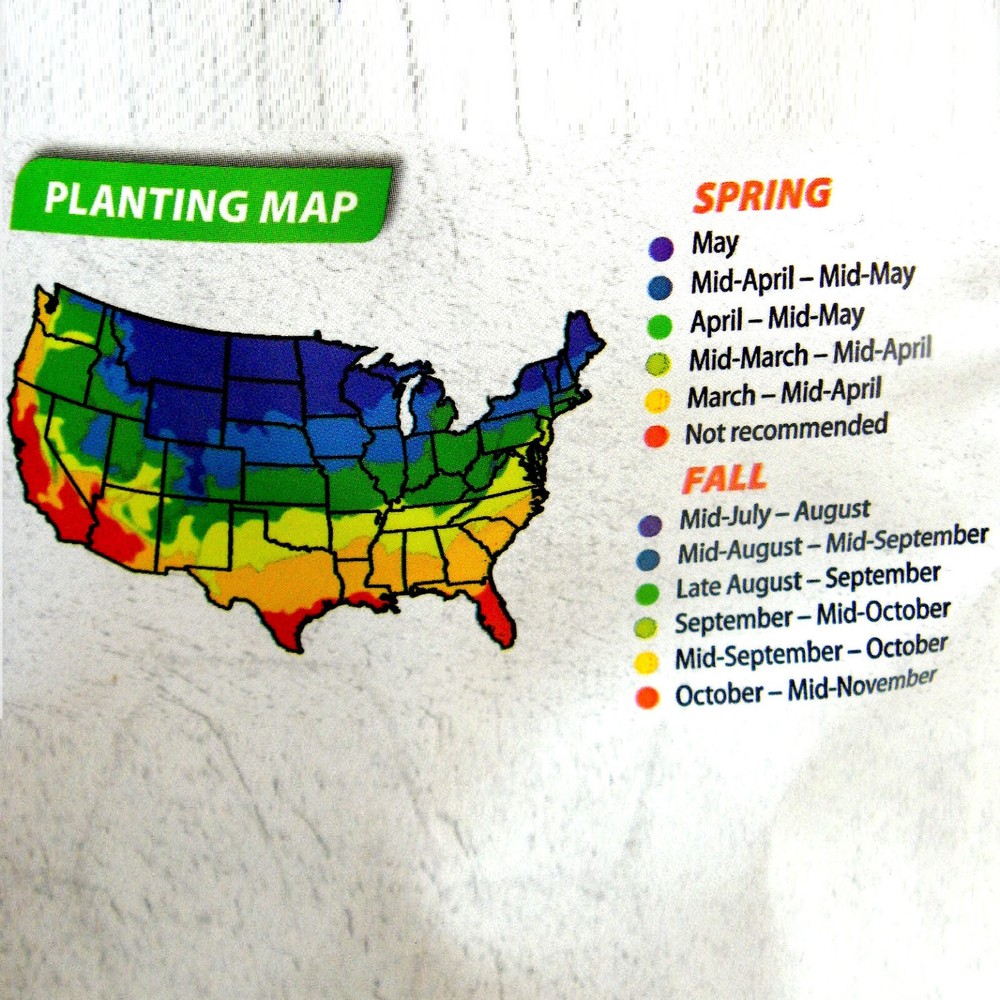 BULK BAGED EVOLVED HARVEST Throw & Gro 50%+ CLOVER NO-TILL FORAGE FOOD PLOT SEED