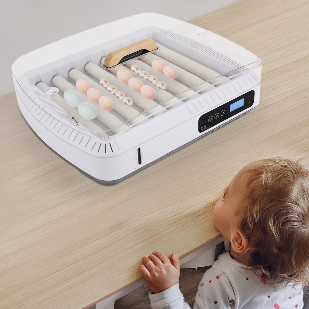 Automatic 35 Egg Incubator Chicken Quail Hatcher Incubators for Hatching Eggs