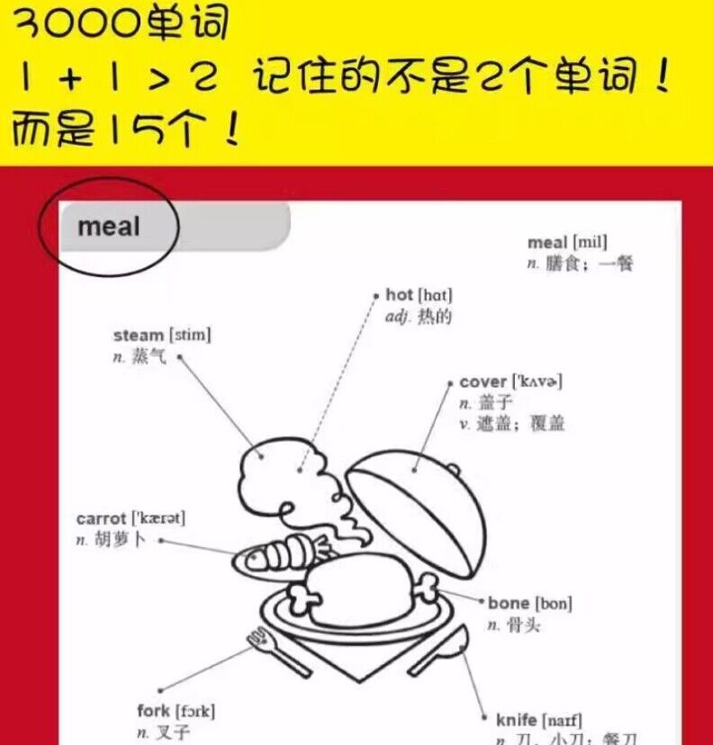 好快!10天背完3000英语单词小学英语单词大全英语单词记背神器词汇大全小学初中高中单词英语词汇速记大全分类书籍