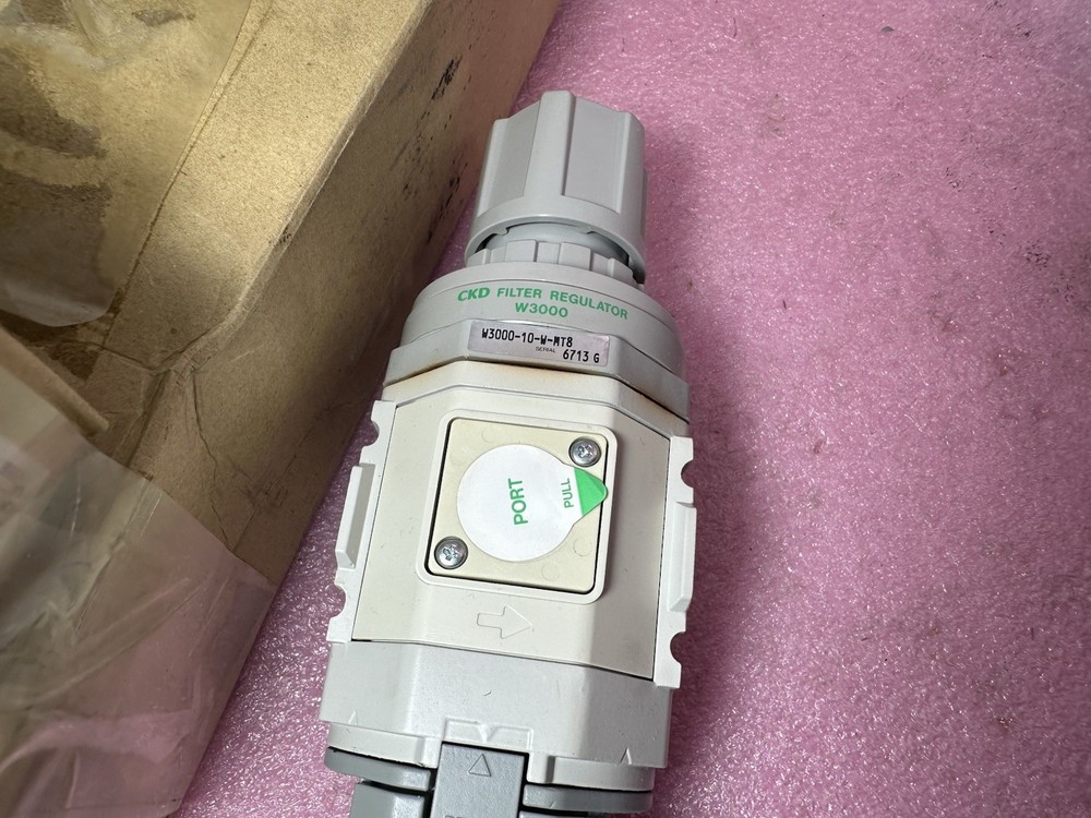 CKD W3000-10-W-MT8