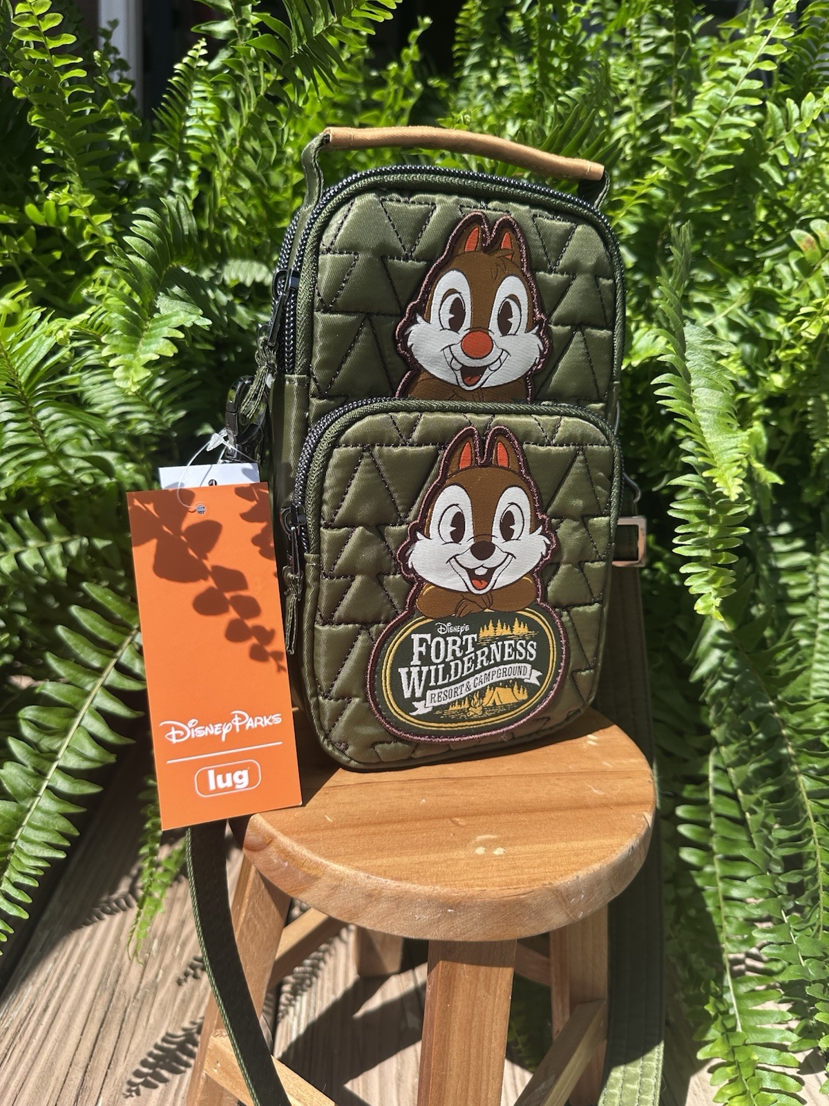 Chip & Dale Fort Wilderness Resort Lug Bag