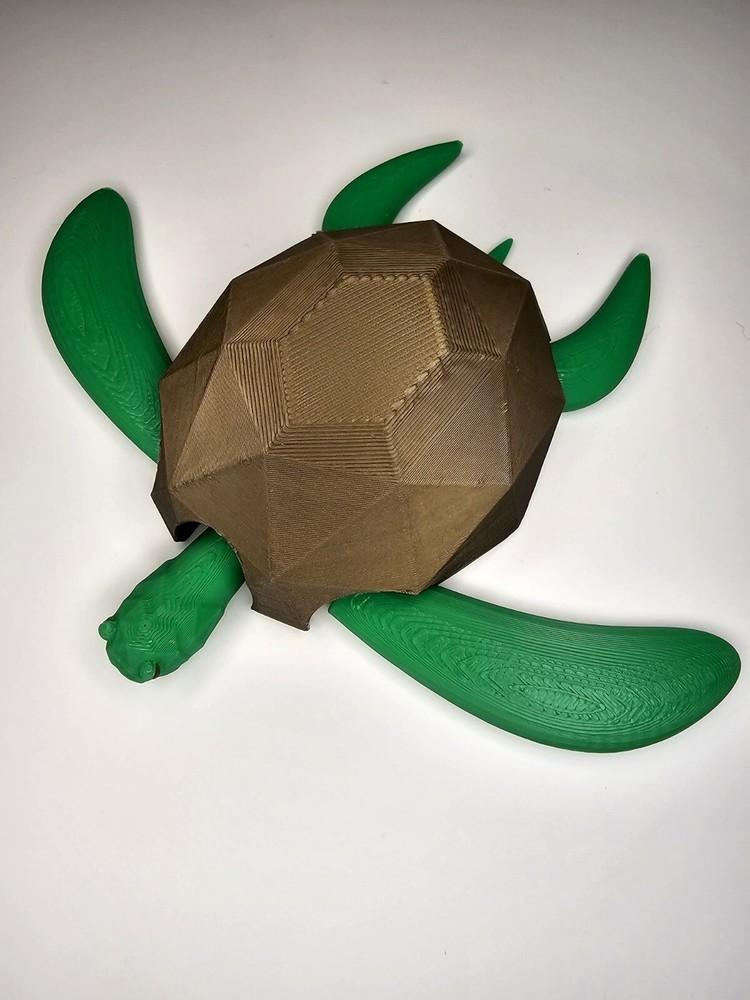 Sea Turtle 3D Printed Articulated