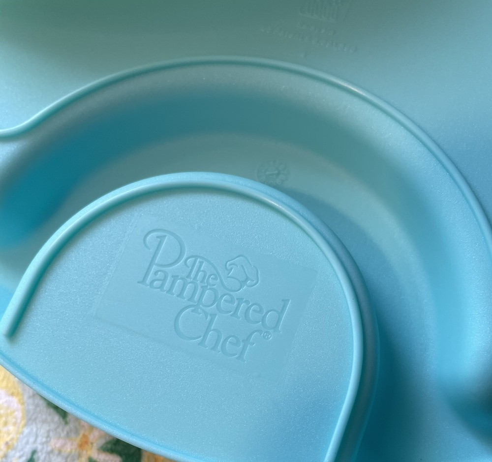 Pampered Chef 10” Outdoor Plates Set #3
