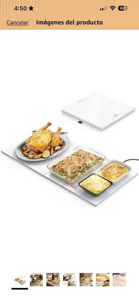 Food Warming Tray