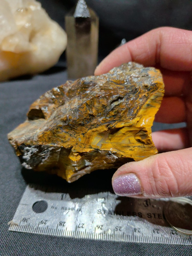 Opalized w/ Crystalized Veins Multicolored Wood Specimen Natural Form (9.1oz)