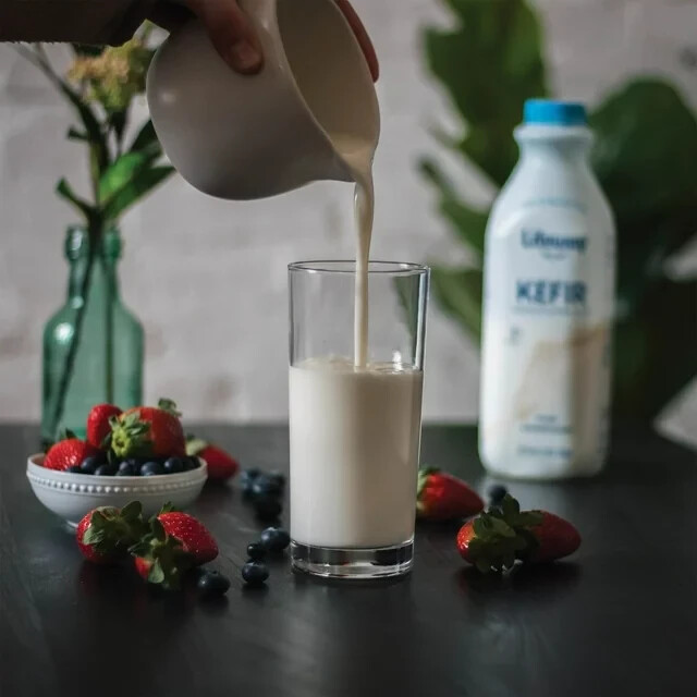 4 Bottles Lifeway Lowfat Milk Plain Kefir 12 Probiotic Culture Size 32 oz 4-pack