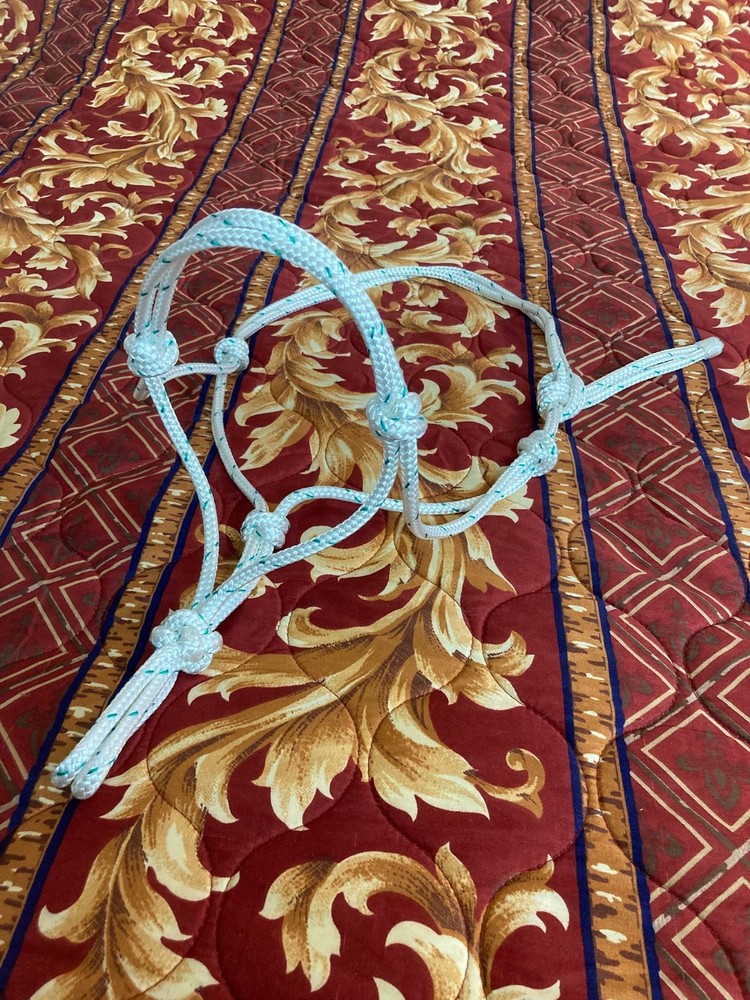 Rope Halter & 8ft Lead, Average Horse