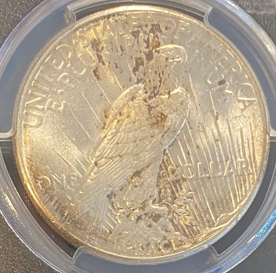 1928 Peace Dollar PCGS MS-62