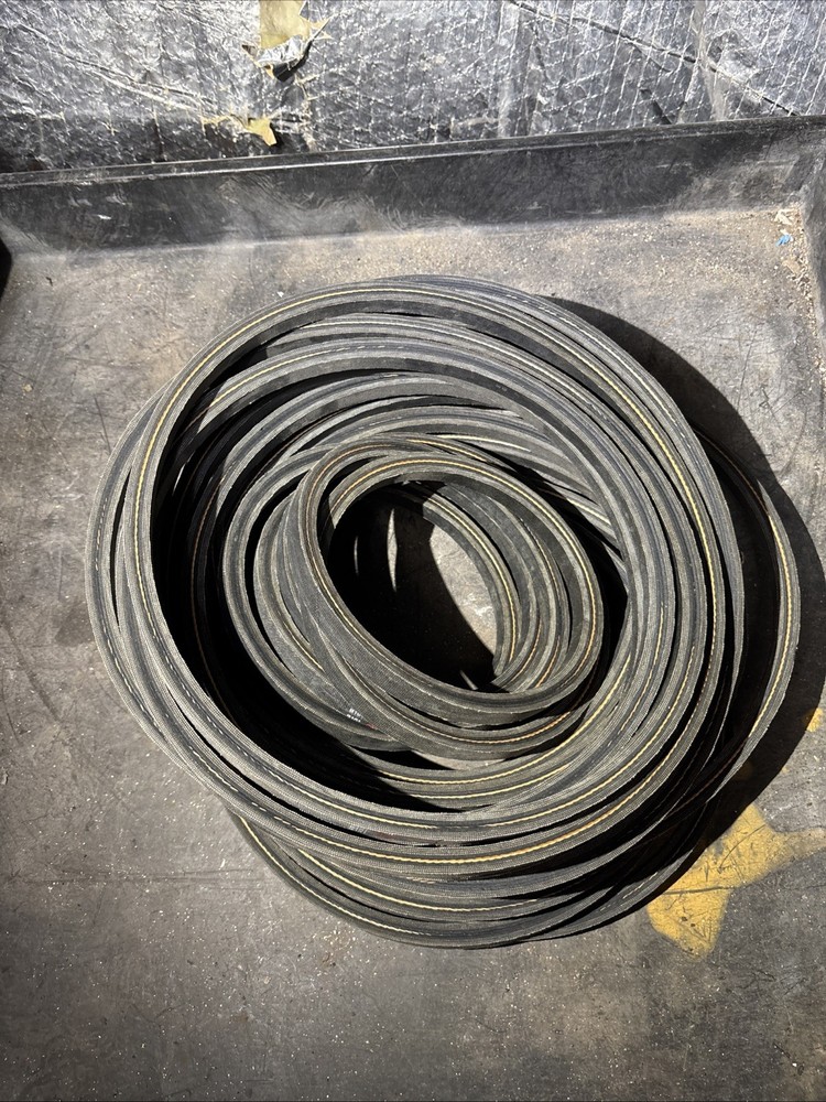 B101 Carlisle Belt