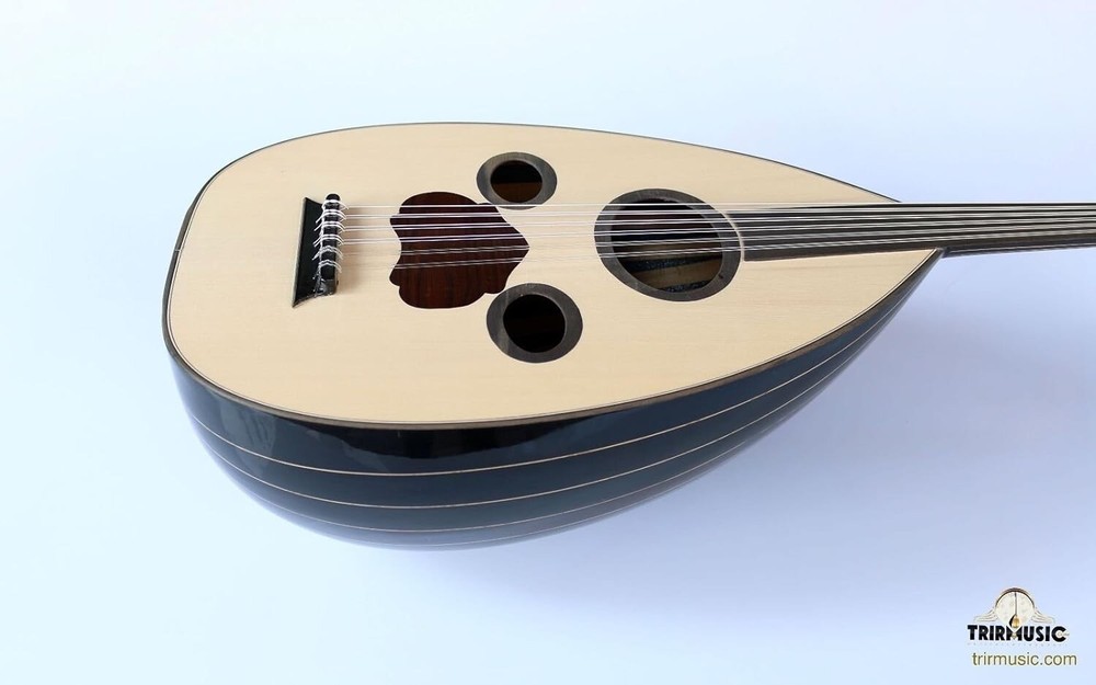 Arabic Handmade Walnut String Instrument Oud Ud AAO-108