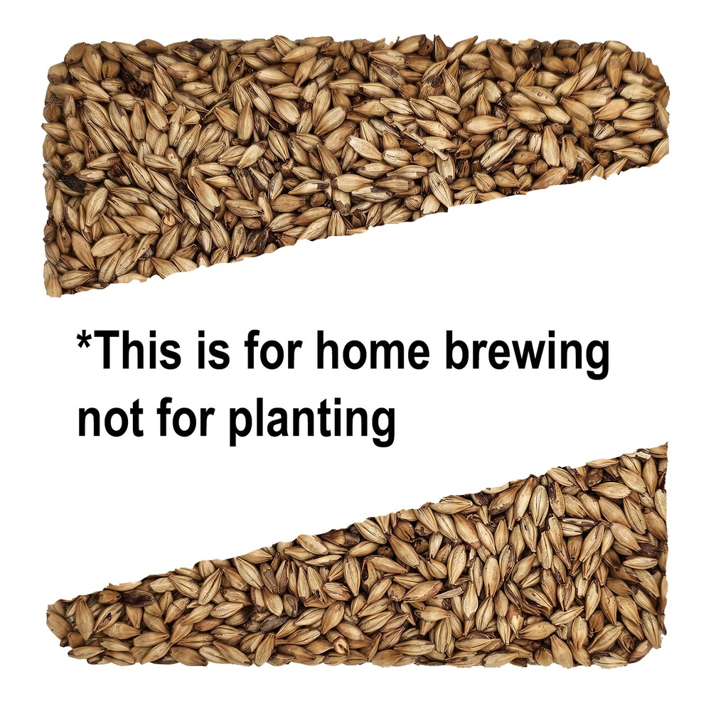 Home Brew Ohio Belge Grain 5lb