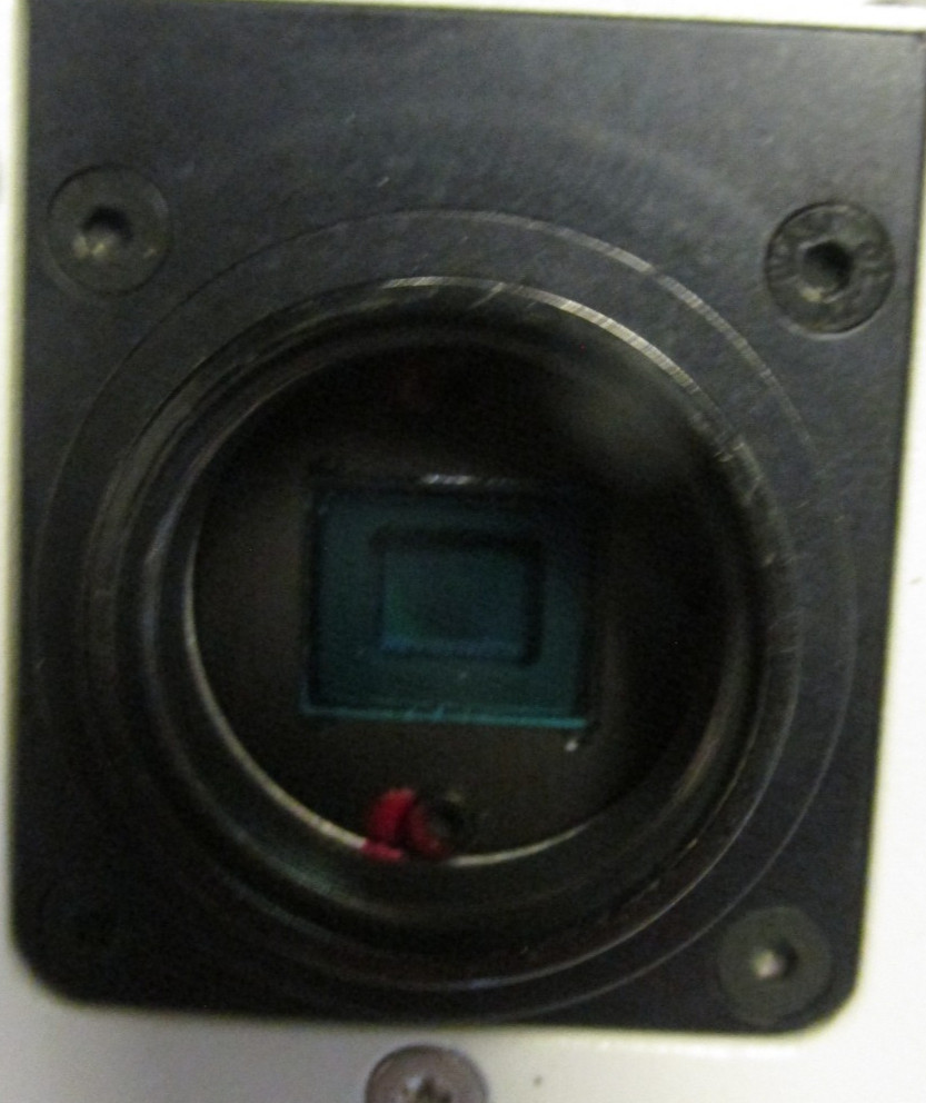 Leica DFC320 microscope camera