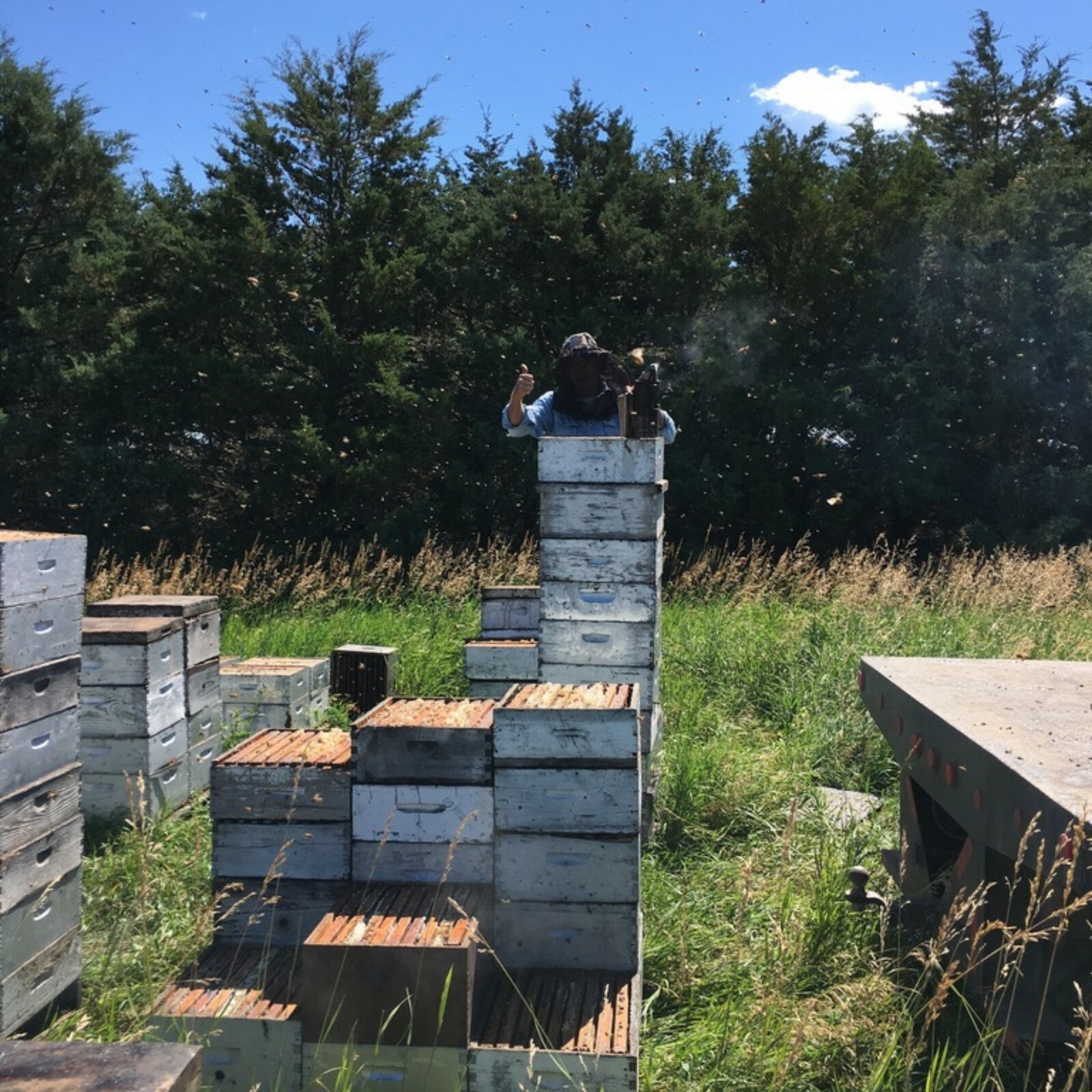 10 Pound 100% Natural American Beeswax Block Made By Our Bees