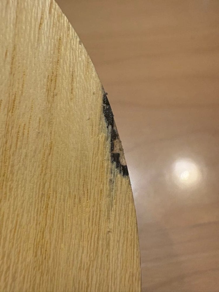 SK CARBON table tennis racket