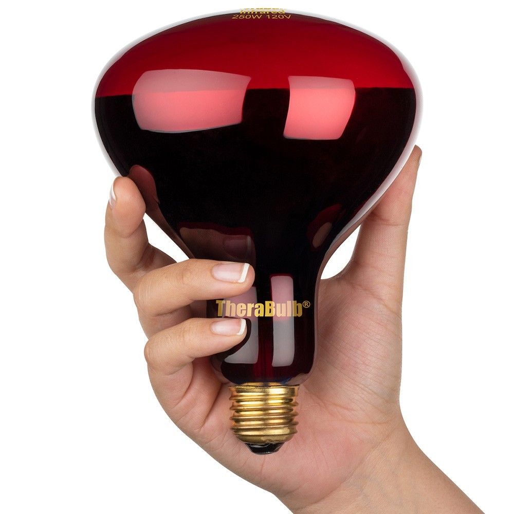 TheraBulb Near Infrared Bulb - 250W/120V - Sold by Manufacturer