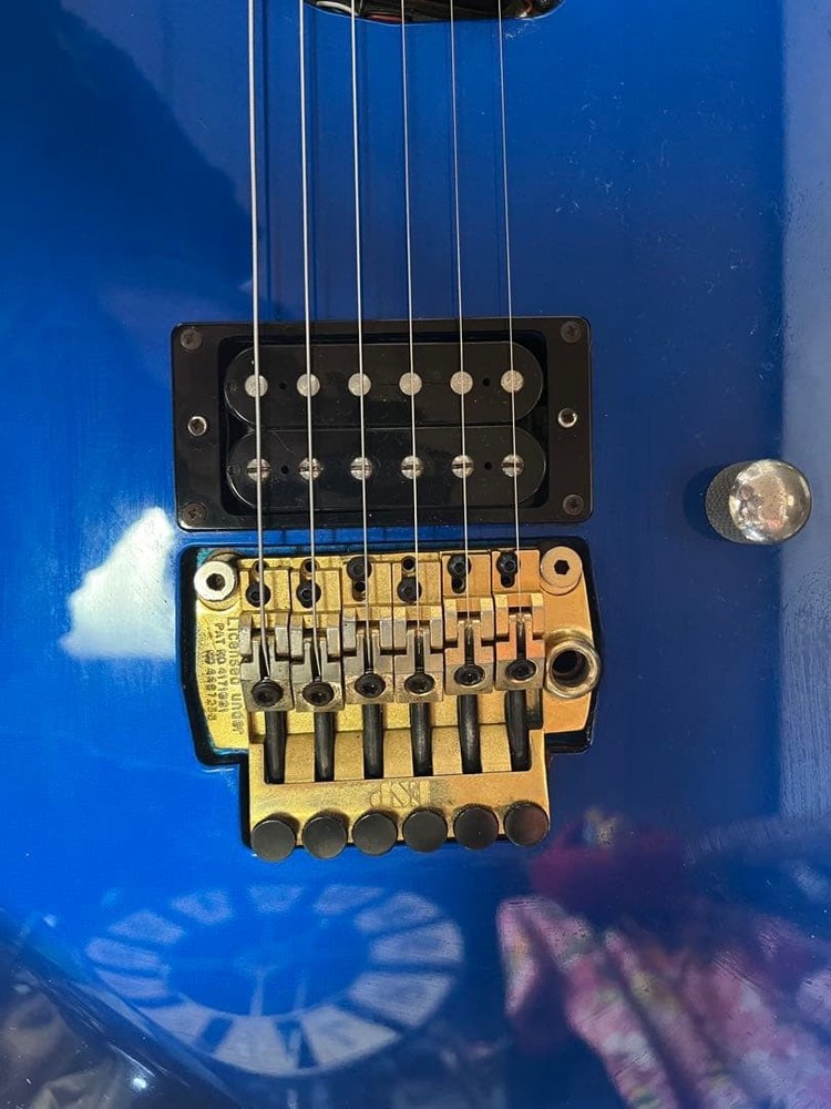 ESP Guitar Gig Bag Strap Safe Packing!