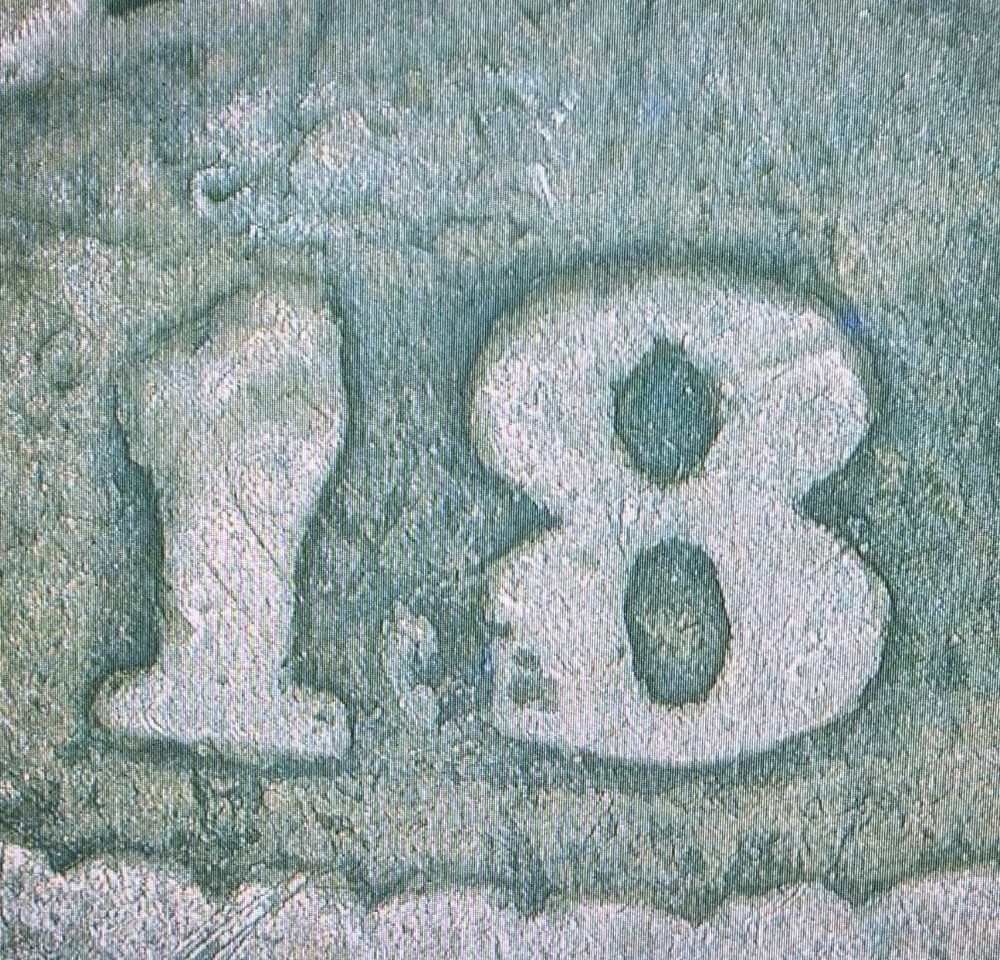 1898 Barber Half Dollar, Die Gouges On Reverse. G04 Condition