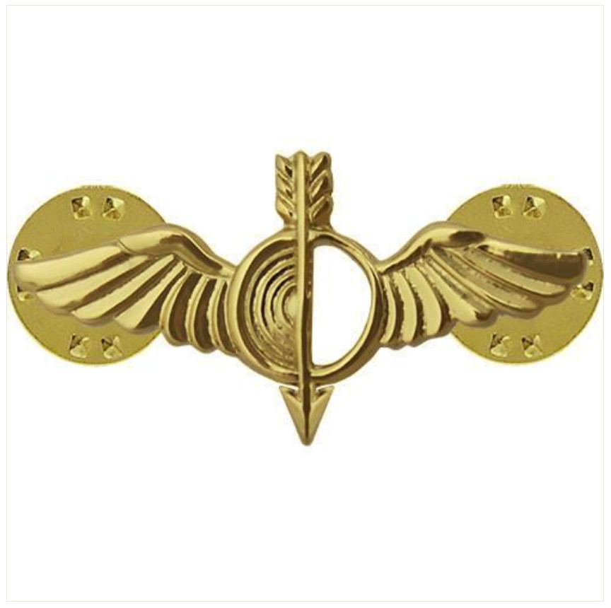 Vanguard NAVY COLLAR DEVICE: AEROGRAPHER