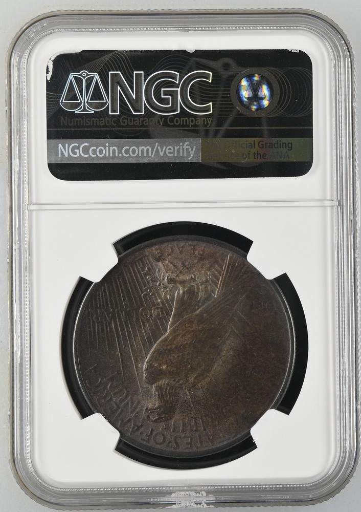 1924 Peace Silver Dollar NGC MS-64 TONED